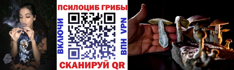 это телеграм  Уварово  Галлюциногенные грибы прущие грибы  гидра ссылки 